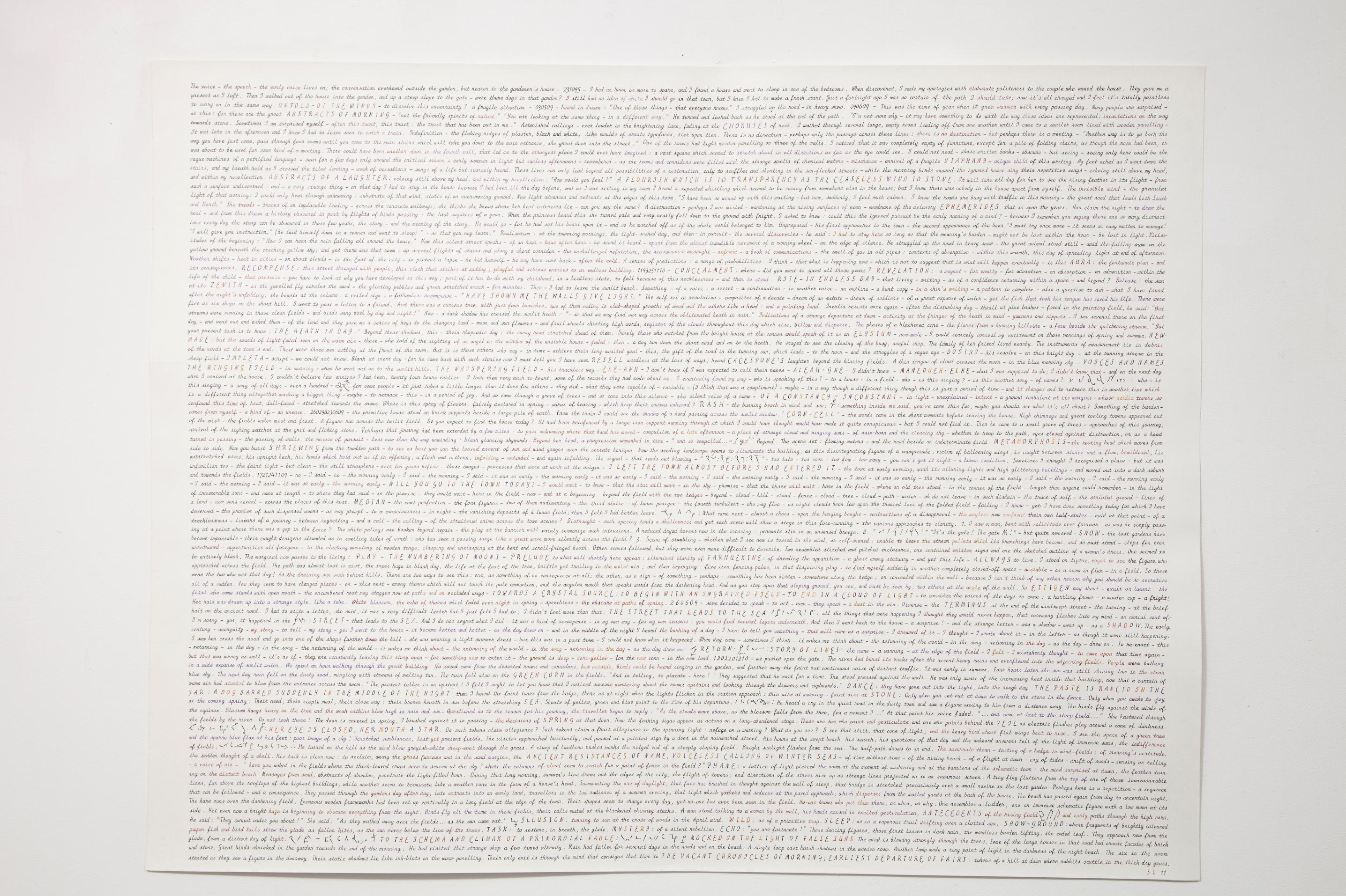 Simon Lewty<br />
A Flourish which is to Transparency as the Ceaseless Wind is to Stone, 2011<br />
Ink and acrylic on paper<br />
96 x 123.5cm