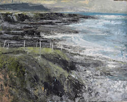 Coastal Report VII – Portnahally Co. Mayo by Donald Teskey