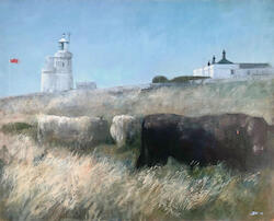 Summer Cattle by Bridget Macdonald
