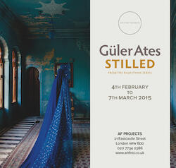 Stilled, from the Rajasthan Series Image