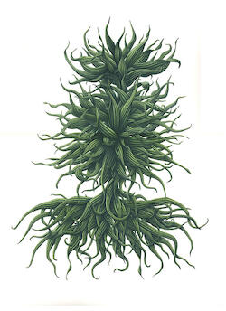 Helena Goldwater / Rebecca Partridge Image