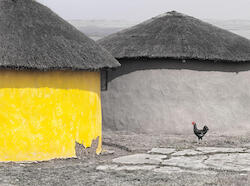 Also Known as Africa 2018 Image