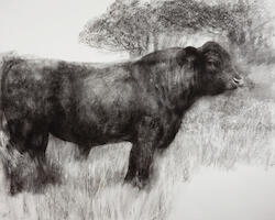 British Art Fair 2022 Image